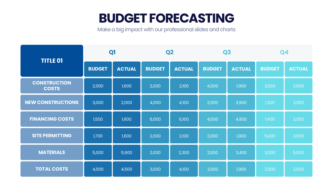 Budget infographic